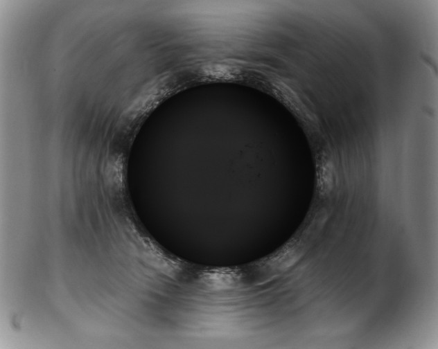 X0000103130466200808221158