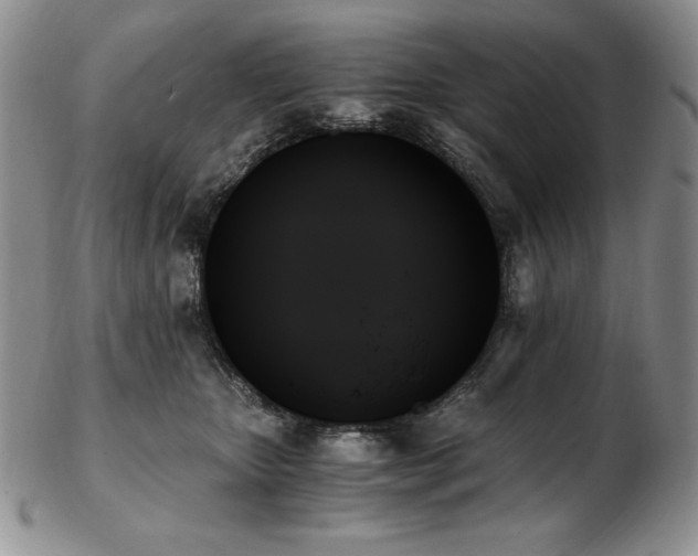 X0000103130467200808221158