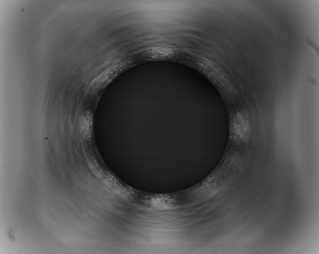 X0000103130468200808221158