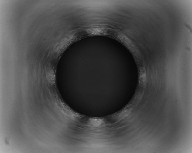X0000103130469200808221158