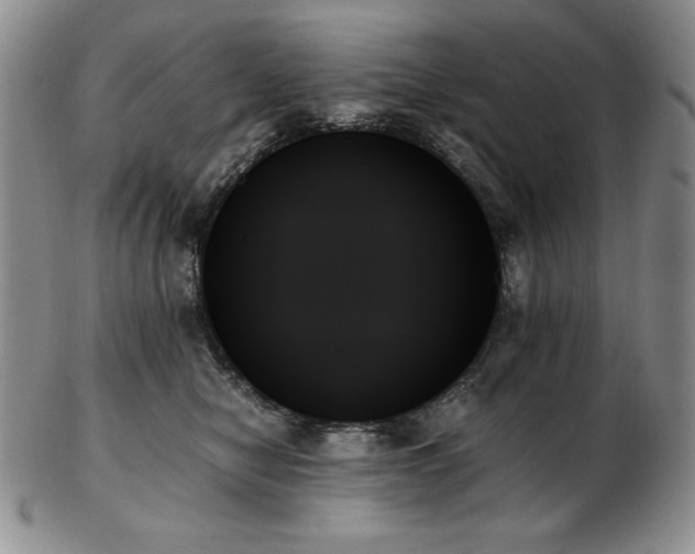 X0000103130470200808221158