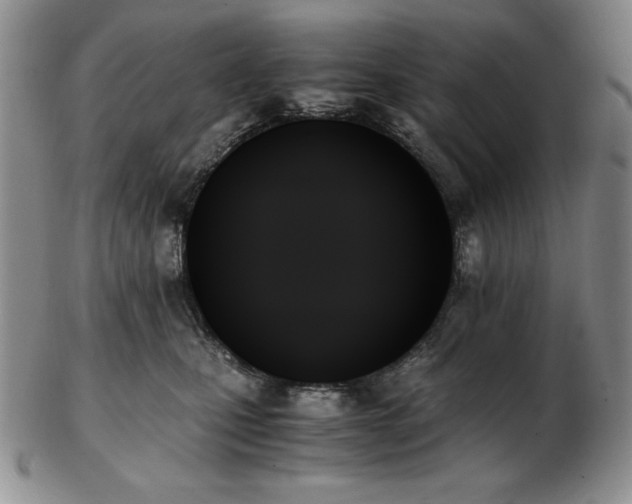 X0000103130471200808221158