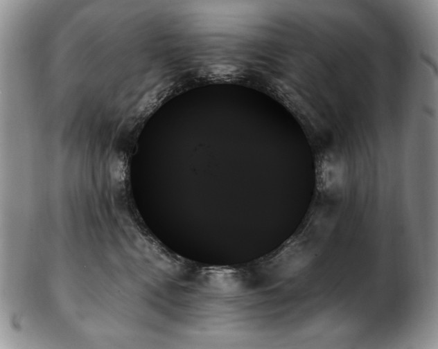 X0000103130472200808221158