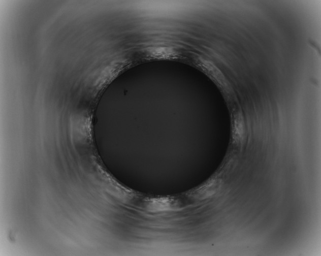 X0000103130473200808221158