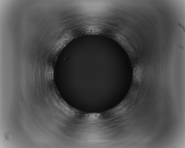 X0000103130474200808221158