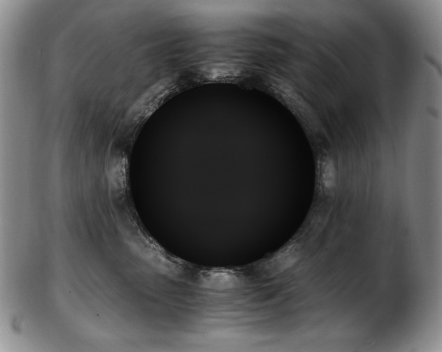 X0000103130475200808221158