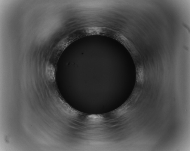 X0000103130477200808221158