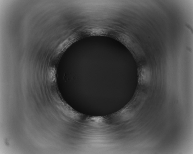 X0000103130478200808221158