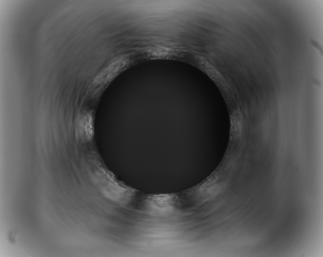 X0000103130479200808221158
