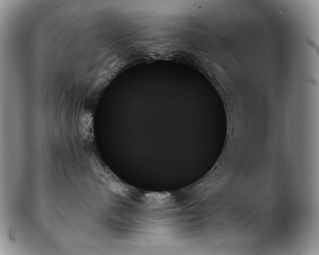 X0000103130480200808221158