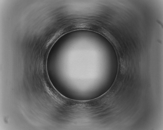 X0000103130482200808221157