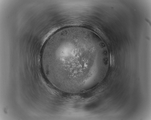 X0000103130483200808221157