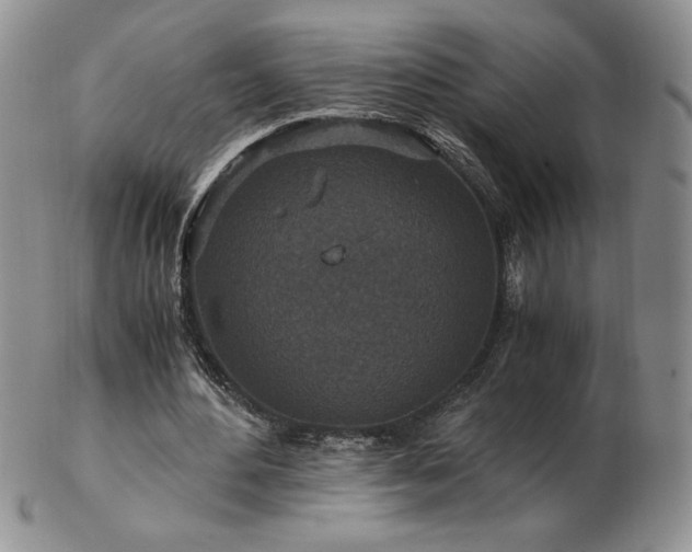 X0000103130484200808221157