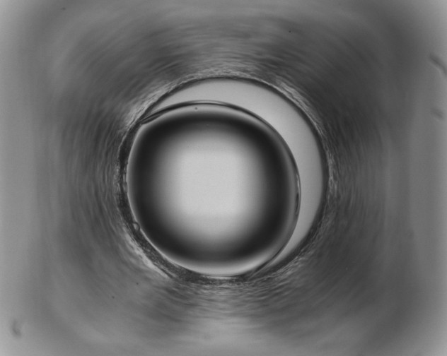 X0000103130485200808221157