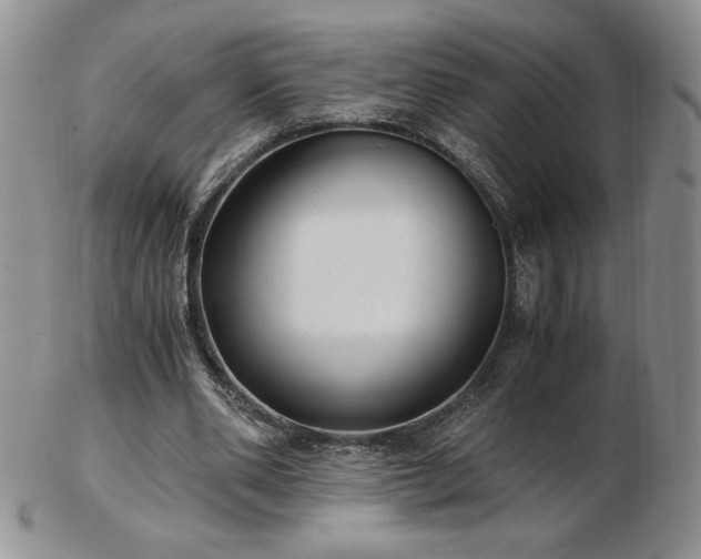 X0000103130486200808221157