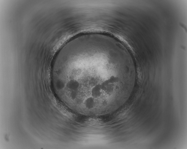 X0000103130487200808221157