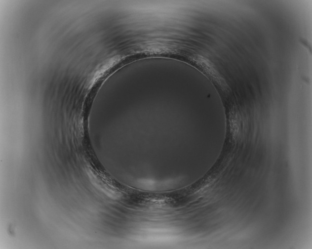 X0000103130488200808221157