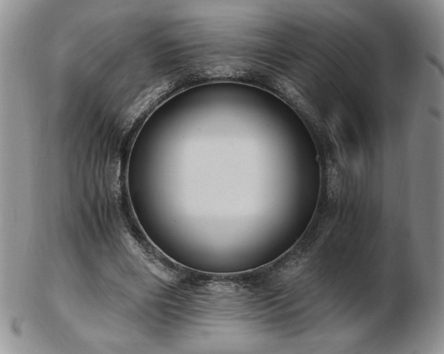 X0000103130490200808221157