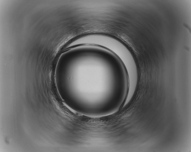 X0000103130491200808221157