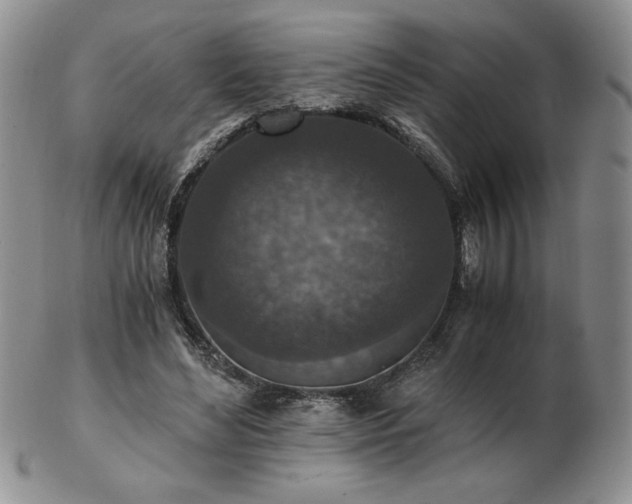 X0000103130492200808221157
