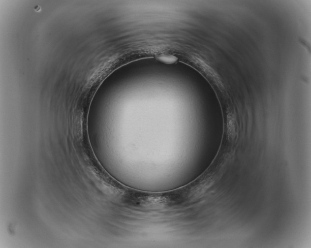 X0000103130493200808221157