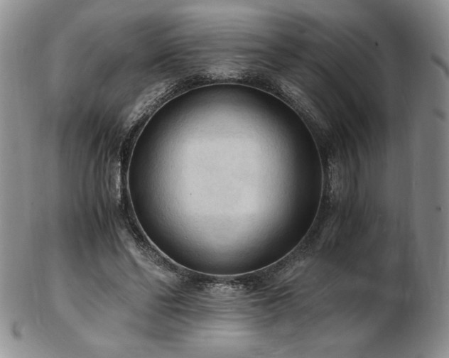 X0000103130494200808221157