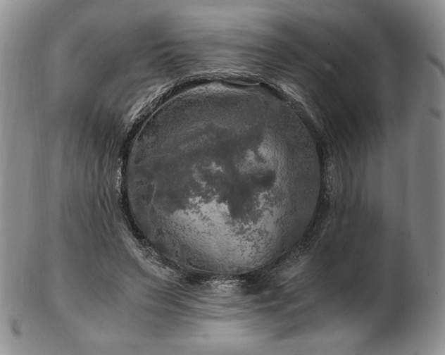 X0000103130495200808221157