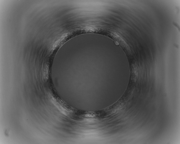 X0000103130496200808221157