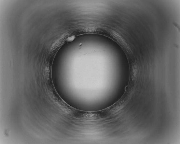 X0000103130497200808221157