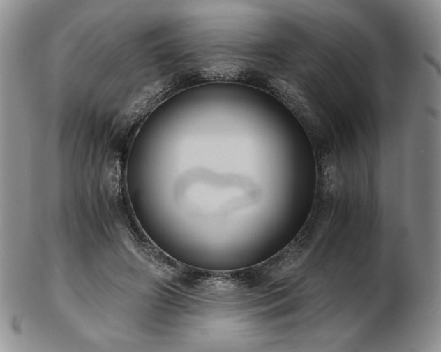 X0000103130498200808221157