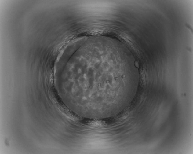 X0000103130499200808221157