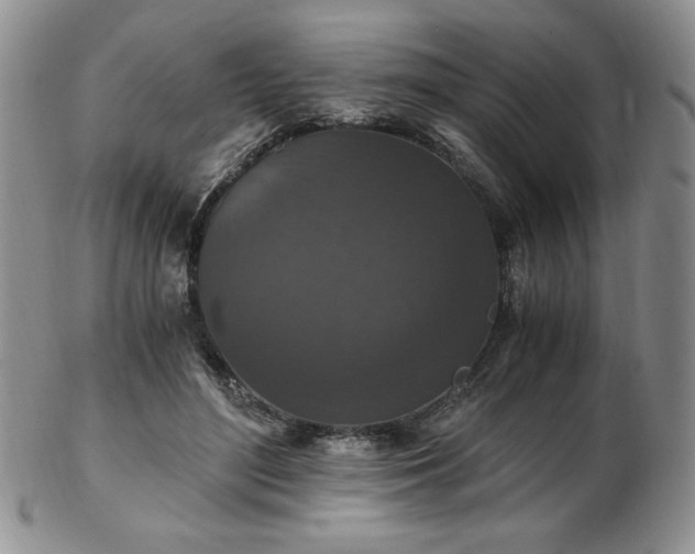 X0000103130500200808221157