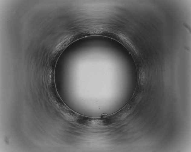 X0000103130501200808221157