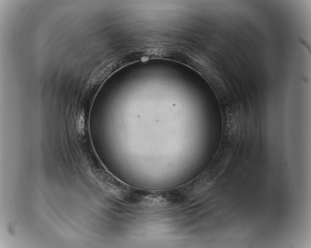 X0000103130502200808221157