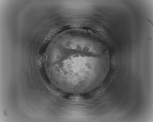 X0000103130503200808221157