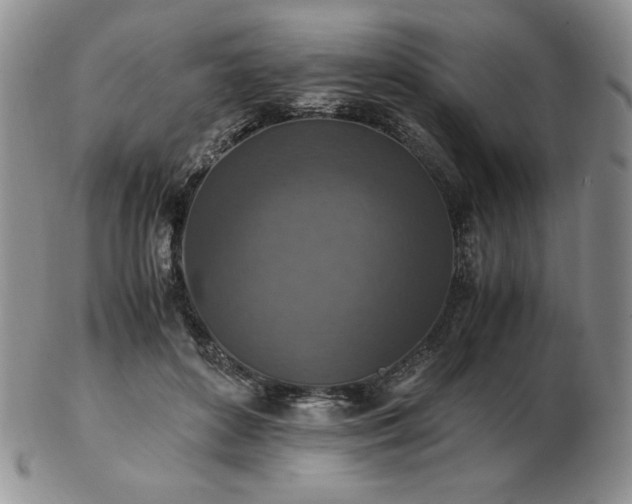 X0000103130504200808221157