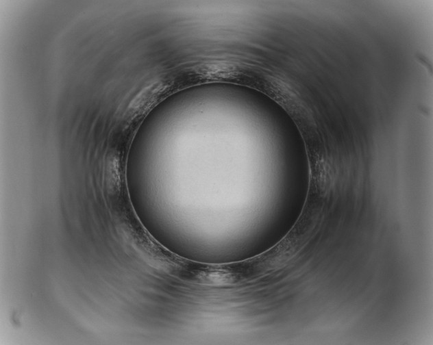 X0000103130506200808221157