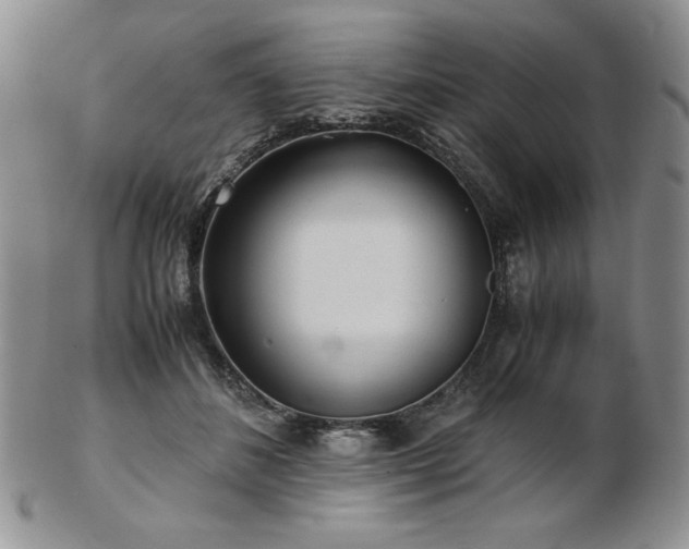 X0000103130508200808221157