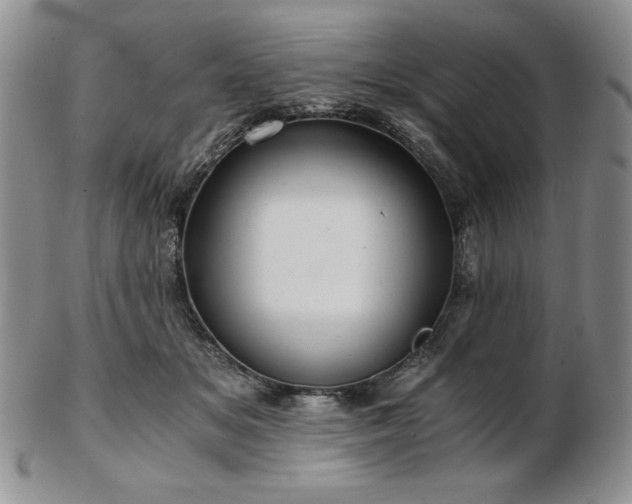 X0000103130509200808221157