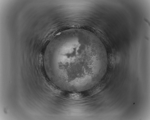X0000103130511200808221157