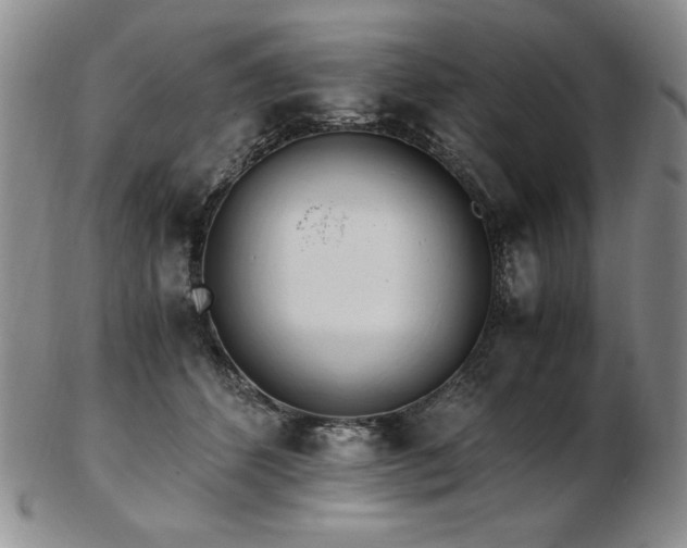 X0000103130512200808221157