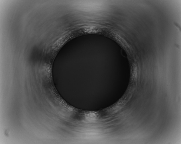 X0000103130513200808221157
