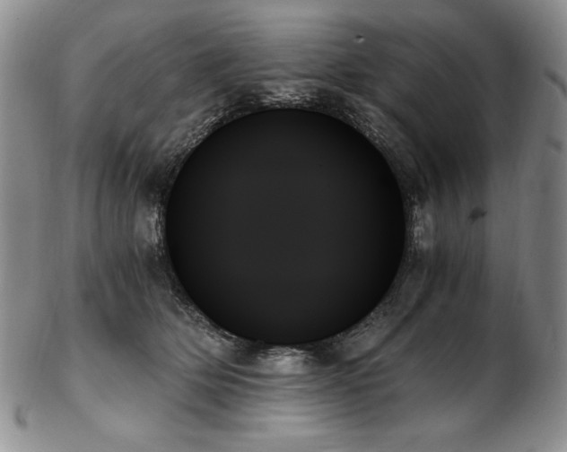X0000103130514200808221157