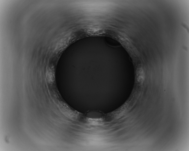 X0000103130515200808221157