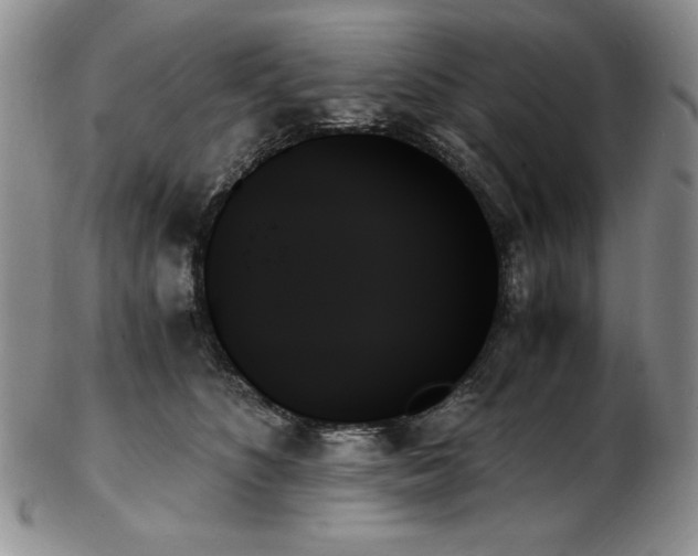 X0000103130516200808221157