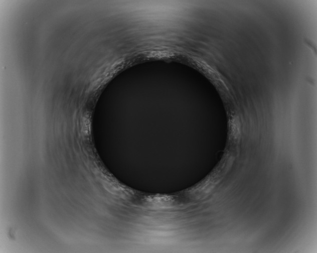 X0000103130517200808221157