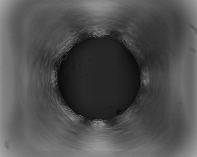 X0000103130519200808221157