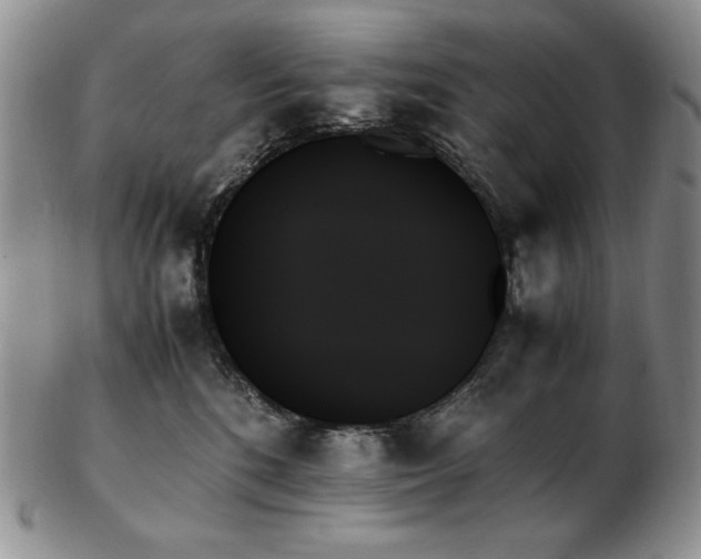 X0000103130520200808221157