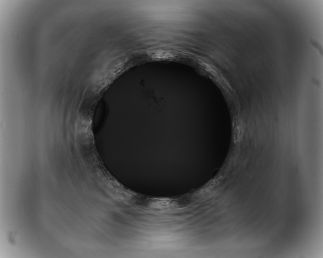 X0000103130521200808221157