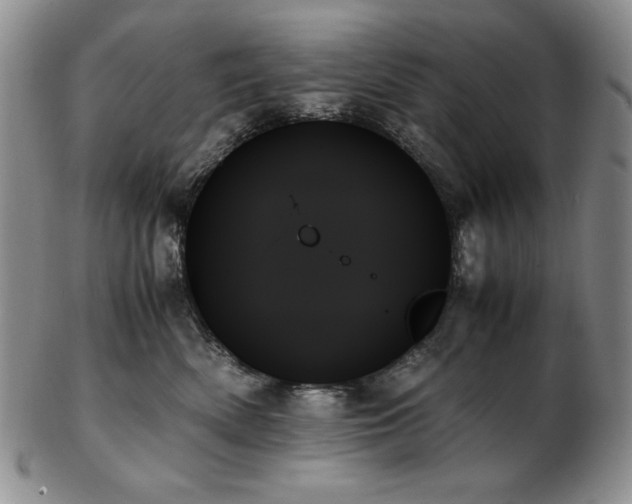 X0000103130522200808221157